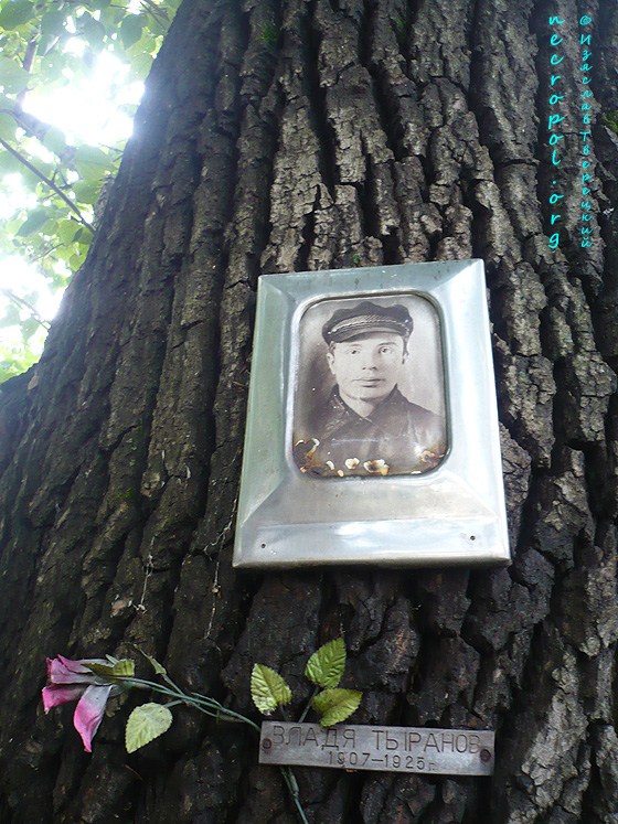 Могила Владимира Тыранова; фото Изяслава Тверецкого, сентябрь 2010 г.