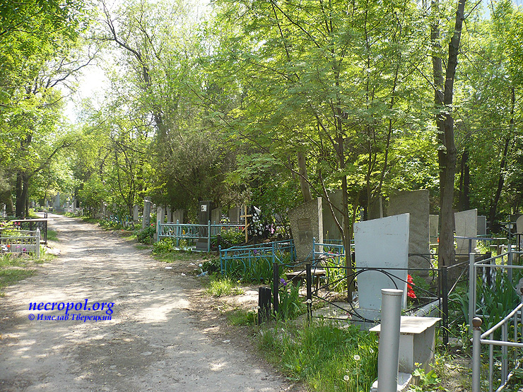 Вид Капустяного кладбища; фото Изяслава Тверецкого,  май 2011 г.